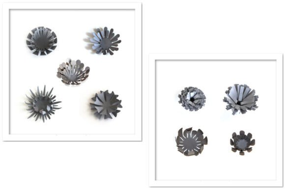 Elevating Digital Craftsmanship: The Strategic Value of 3D Floral Design Assets